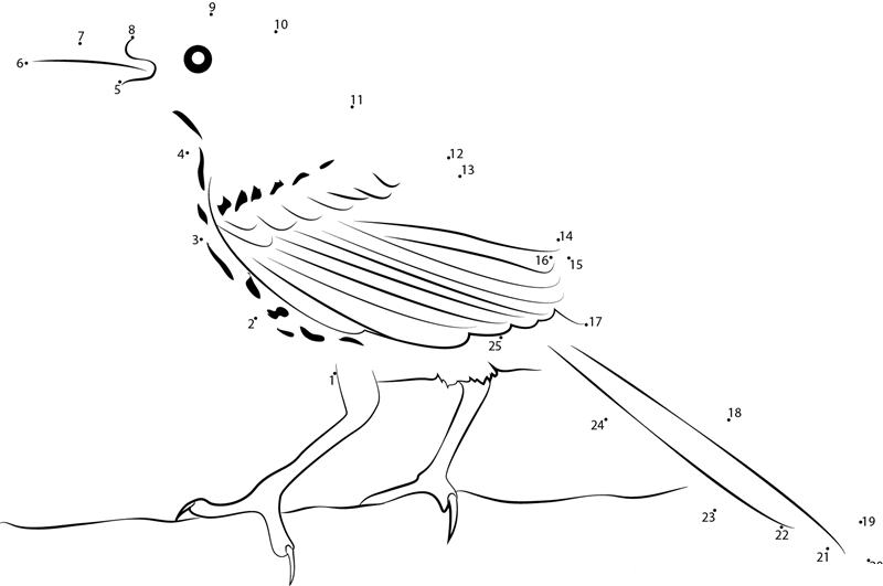 A Brown Thrasher printable dot to dot worksheet