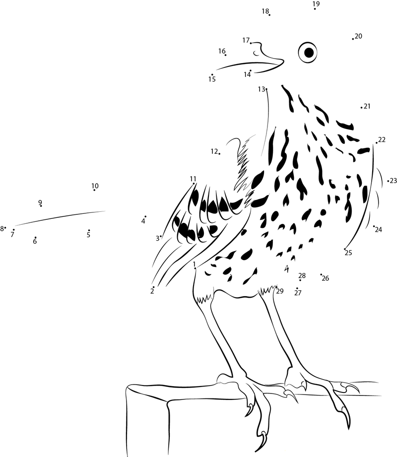 Beautiful Birds printable dot to dot worksheet