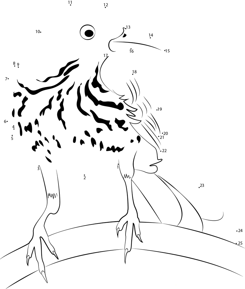 Brown Thrasher printable dot to dot worksheet