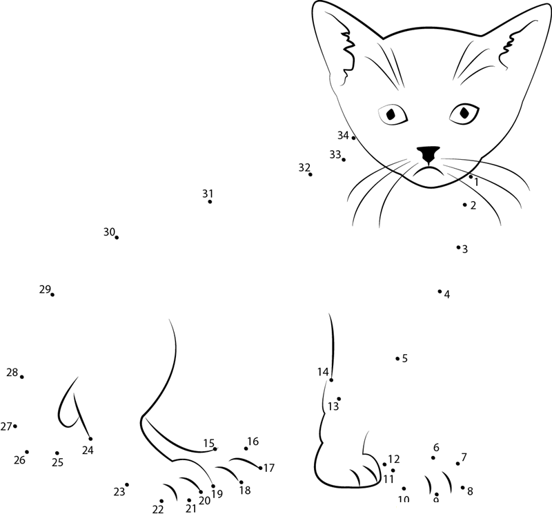 Look Cat You dot to dot worksheets