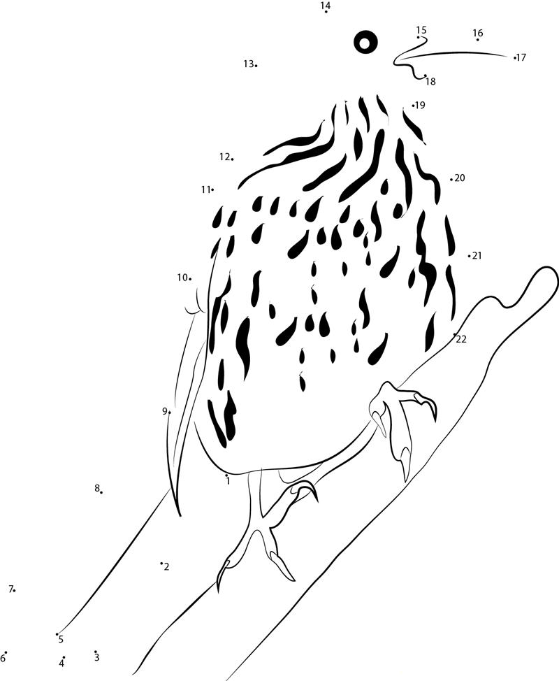 Brown Thrasher Bird printable dot to dot worksheet