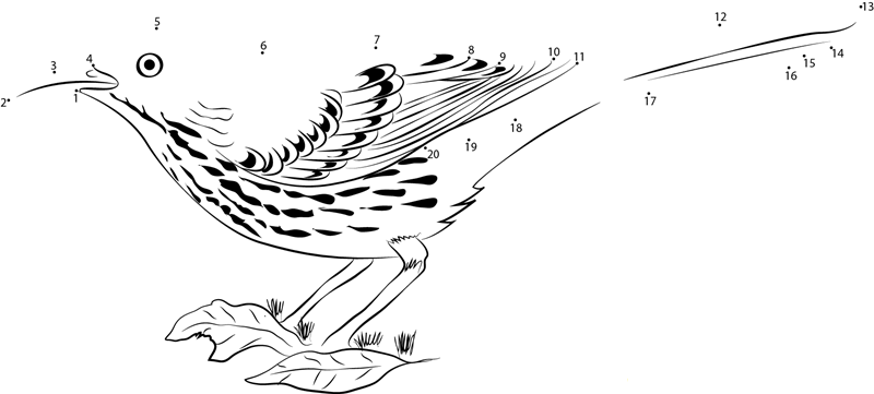 Brown Thrasher In Grass printable dot to dot worksheet