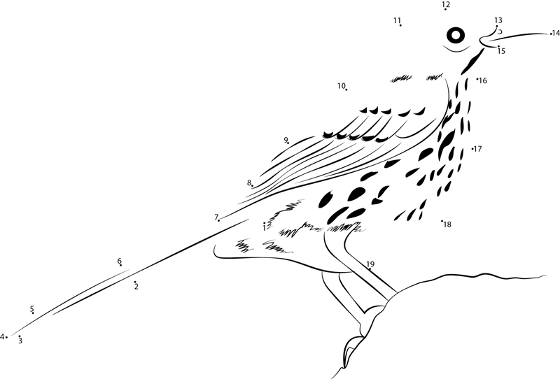 Brown Thrasher In National Park printable dot to dot worksheet