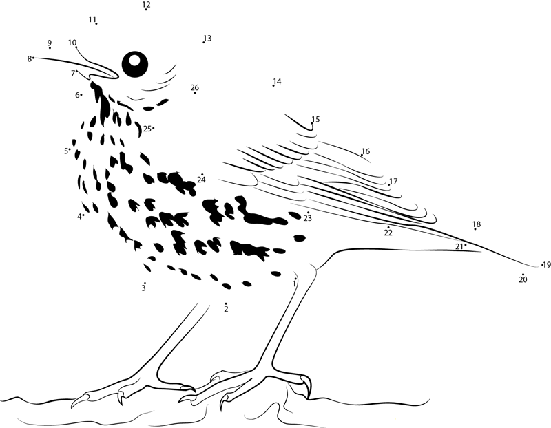 Close Look Of Brown Thrasher printable dot to dot worksheet