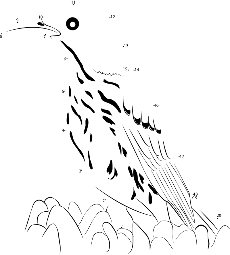 Cute Brown Thrasher printable dot to dot worksheet