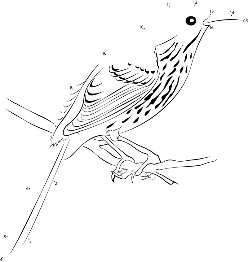 Juvenile Brown Thrasher printable dot to dot worksheet