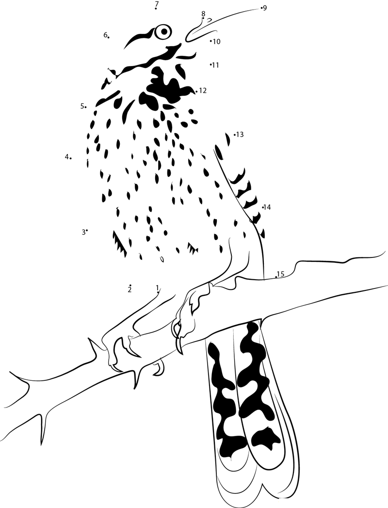 Beautiful Cactus Wren printable dot to dot worksheet