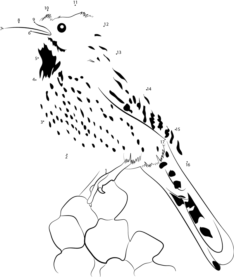 Cactus Wren In Tucson printable dot to dot worksheet