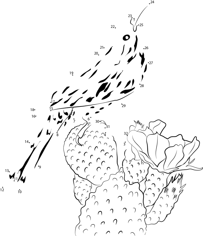 Cactus Wren National Park printable dot to dot worksheet