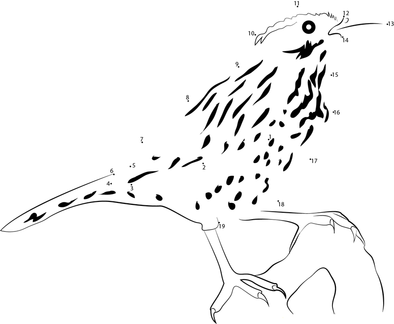 The Cactus Wren printable dot to dot worksheet