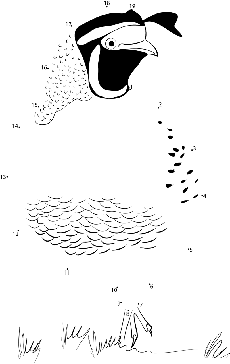 California Quail Walking On Grass printable dot to dot worksheet