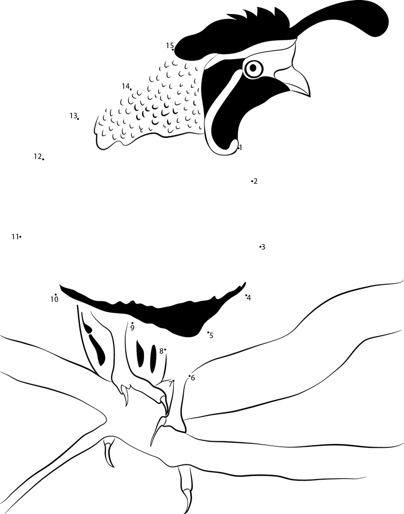Perdiz De California printable dot to dot worksheet