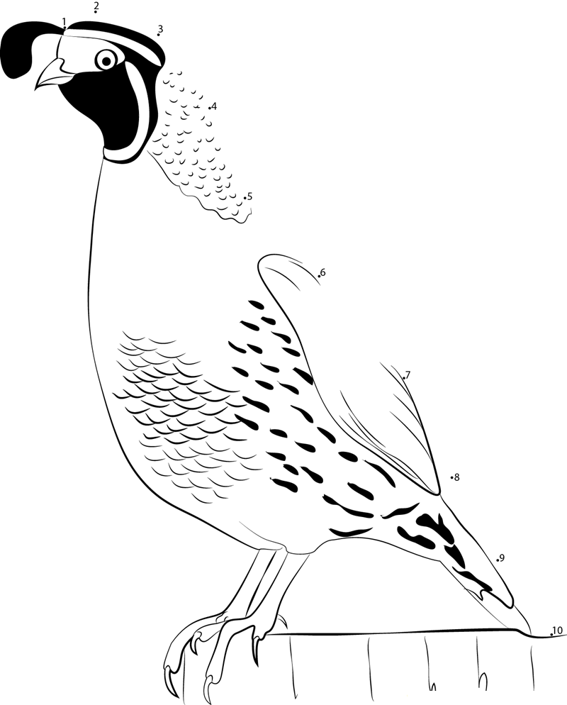 State Bird Of California printable dot to dot worksheet