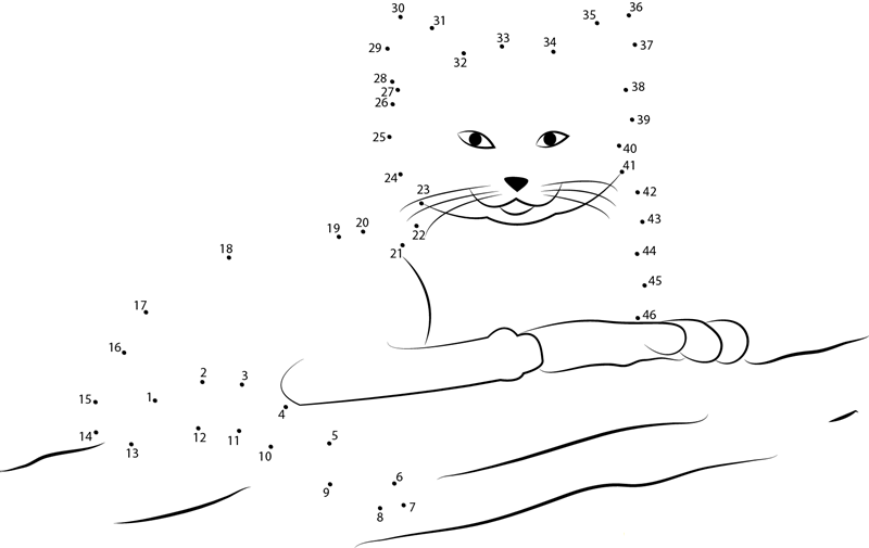 Sand Cat dot to dot worksheets