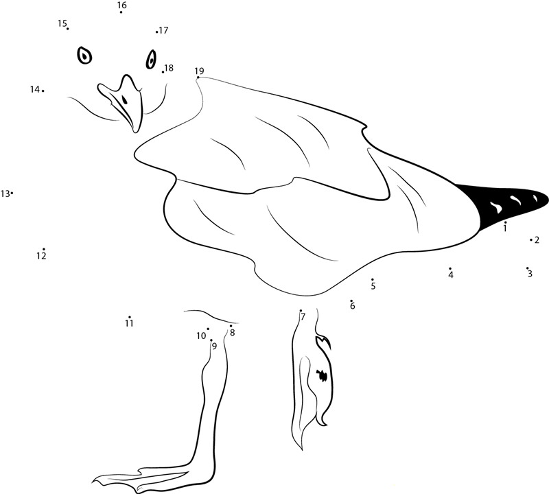 A Seagull With A Broken Leg printable dot to dot worksheet