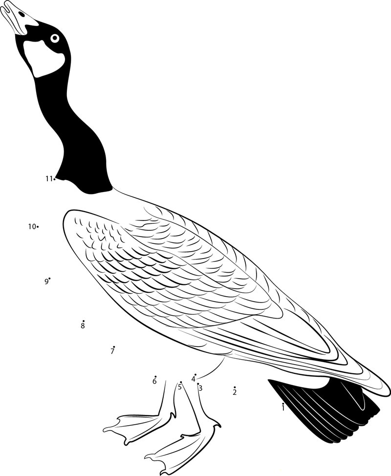 A Canada Goose printable dot to dot worksheet