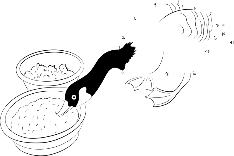 A Goose Drinks From A Food Bowl printable dot to dot worksheet