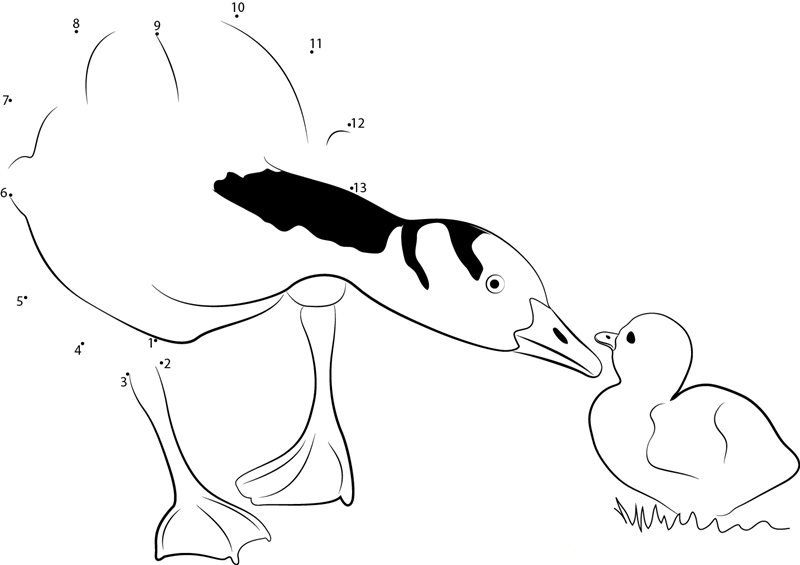 Bar Headed Goose printable dot to dot worksheet