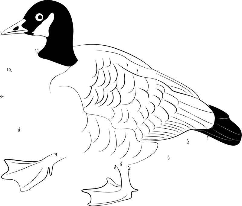 Big Canada Goose printable dot to dot worksheet