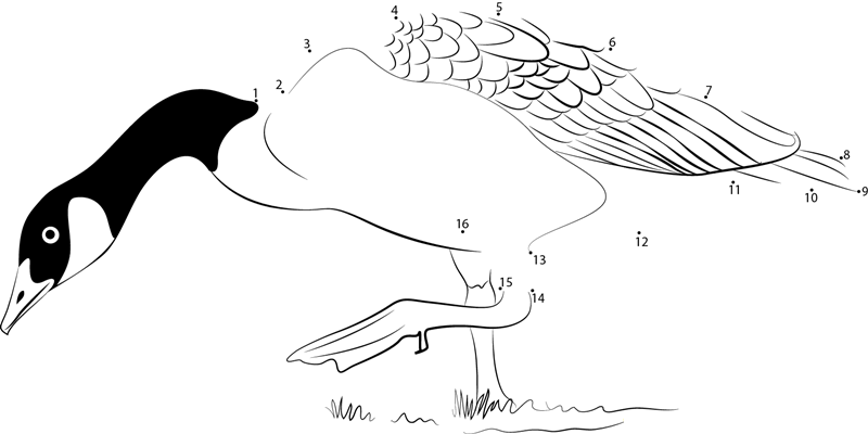 Canada Goose printable dot to dot worksheet