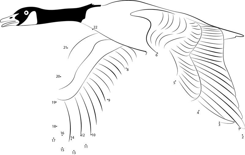 Canada Goose Fly printable dot to dot worksheet