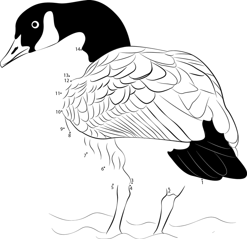 Canada Goose Full In Action printable dot to dot worksheet