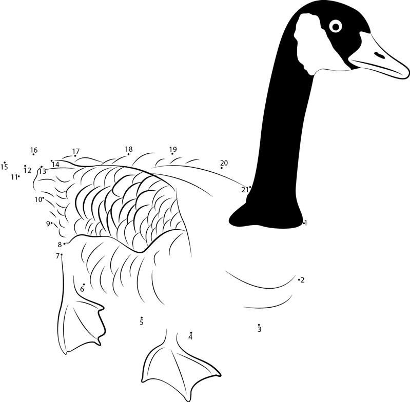 Canada Goose Standing printable dot to dot worksheet