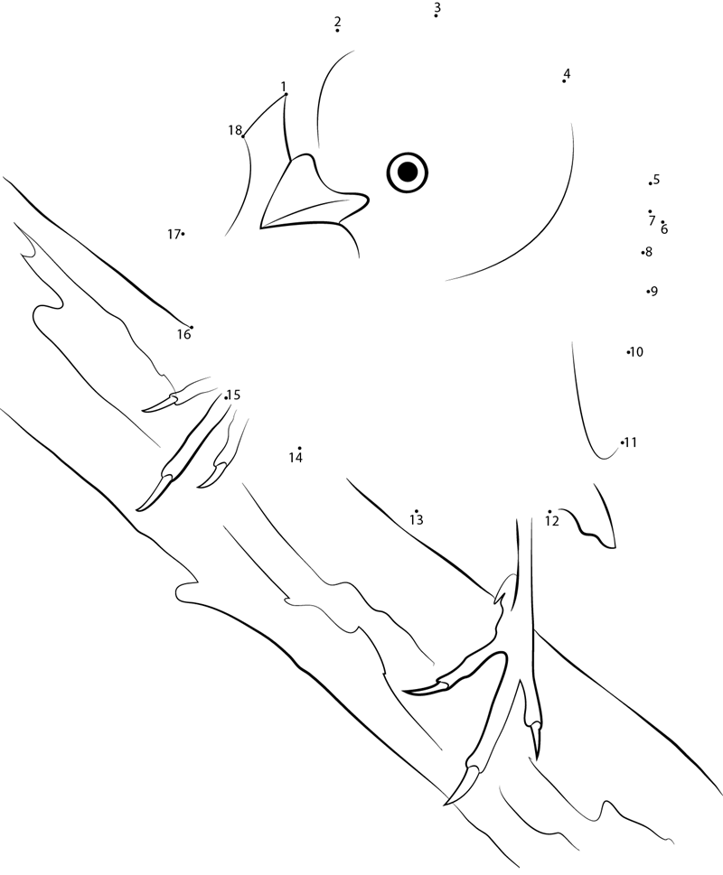 Canary Bird printable dot to dot worksheet