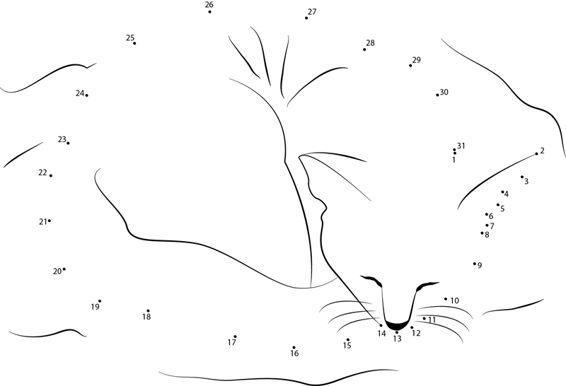 Sleeping Cat Bad dot to dot worksheets