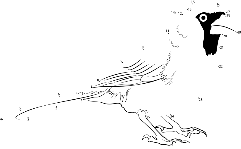 Cardinal Northern Male printable dot to dot worksheet