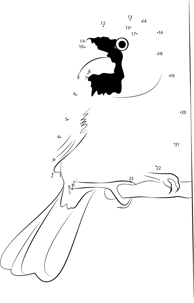 Cardinal On Bird Feeder printable dot to dot worksheet