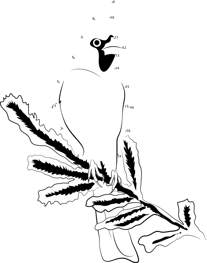 Cardinal Red Branch Bird printable dot to dot worksheet