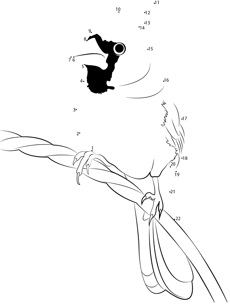 Cardinalidae printable dot to dot worksheet