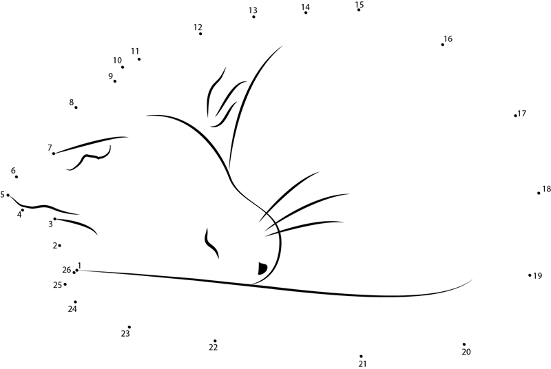 Sleeping In Cat dot to dot worksheets