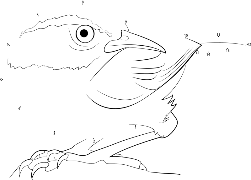 Bird Watching printable dot to dot worksheet