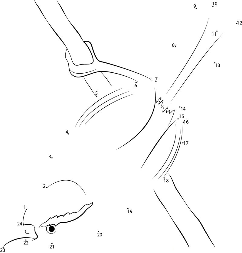 Carolina Wren Hanging Upside Down dot to dot worksheets