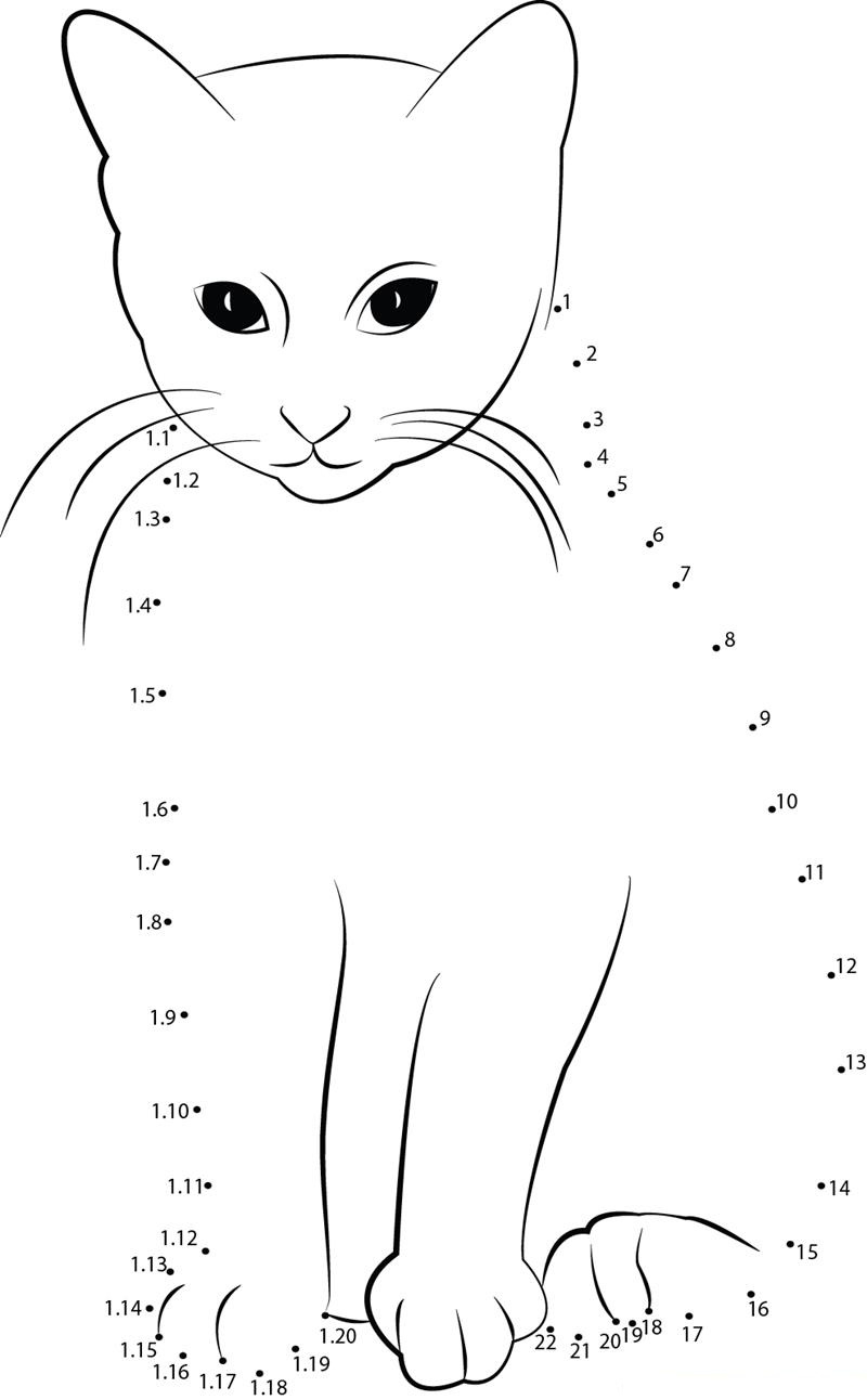 Smart Cat dot to dot worksheets