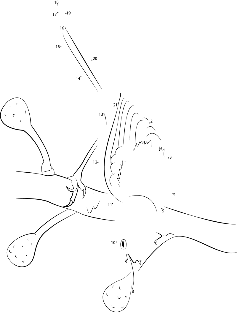 Common Tailorbird dot to dot worksheets