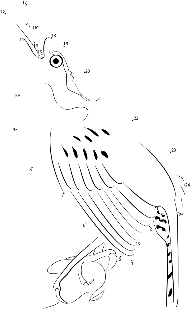 Great Carolina Wren Close printable dot to dot worksheet