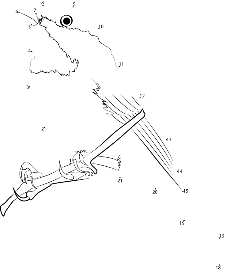 Black Capped Chickadee On Cherry Branch dot to dot worksheets