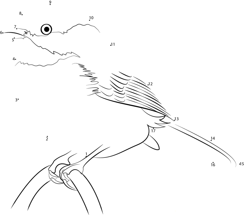 Boreal Chickadee dot to dot worksheets