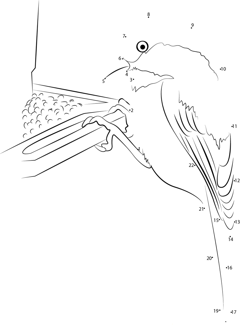 Chestnut Backed Chickadee dot to dot worksheets