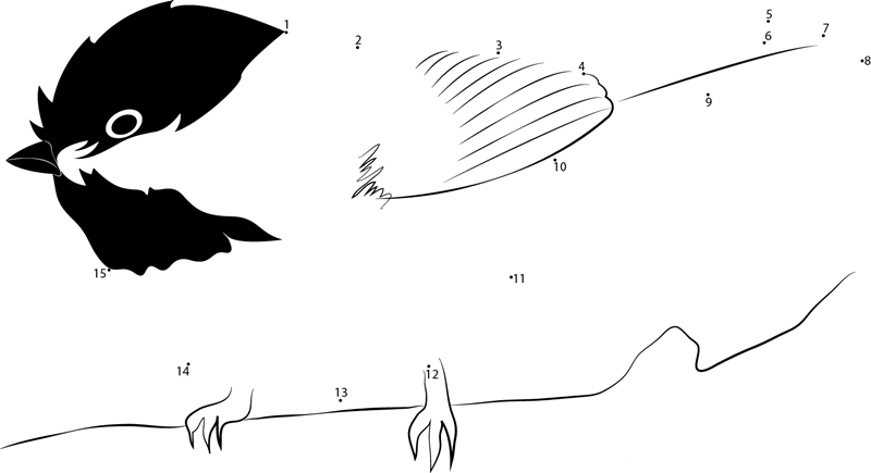 Chickadee dot to dot worksheets