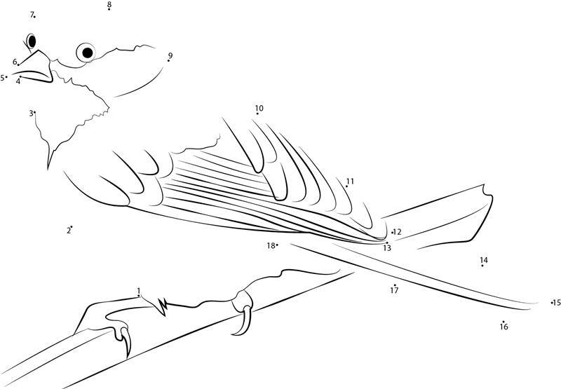 Chickadee On Wooden Rail dot to dot worksheets