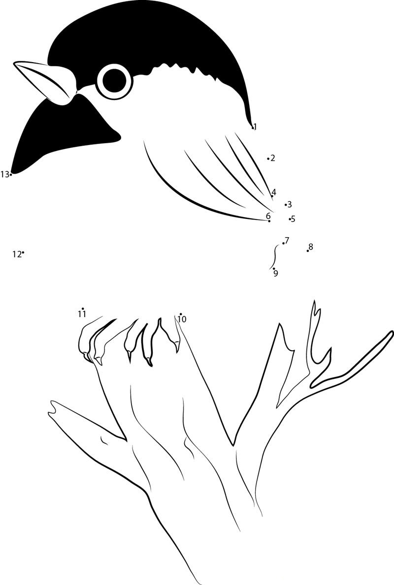 Chickadee Sitting Atop Tree Branch dot to dot worksheets