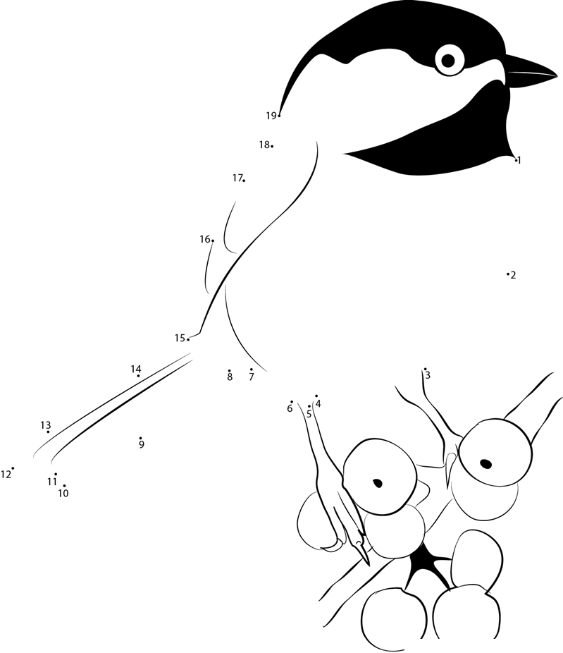 Chickadee Sitting On Berry Branch dot to dot worksheets