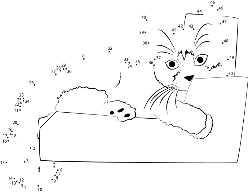 Turkish Van Cat dot to dot worksheets