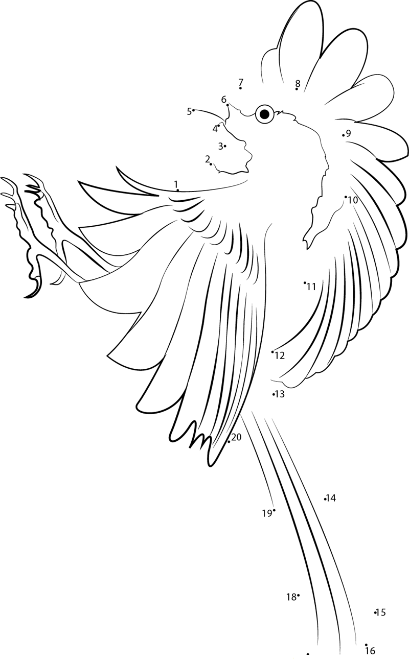 Chickadee With Wings Open dot to dot worksheets