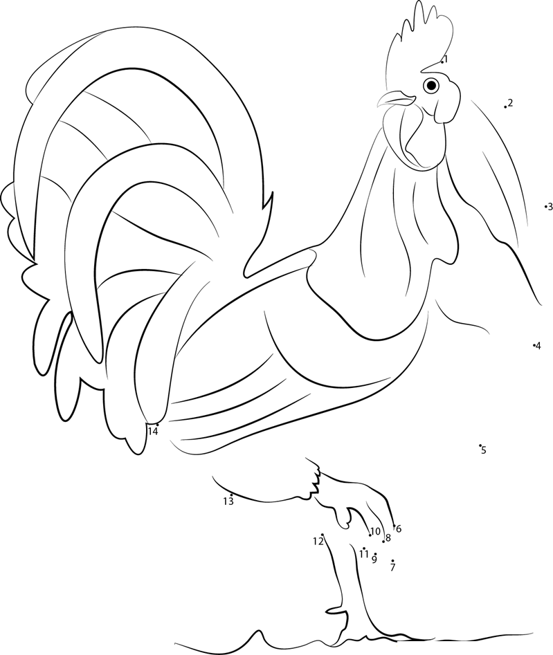 Bantam Cockerel printable dot to dot worksheet