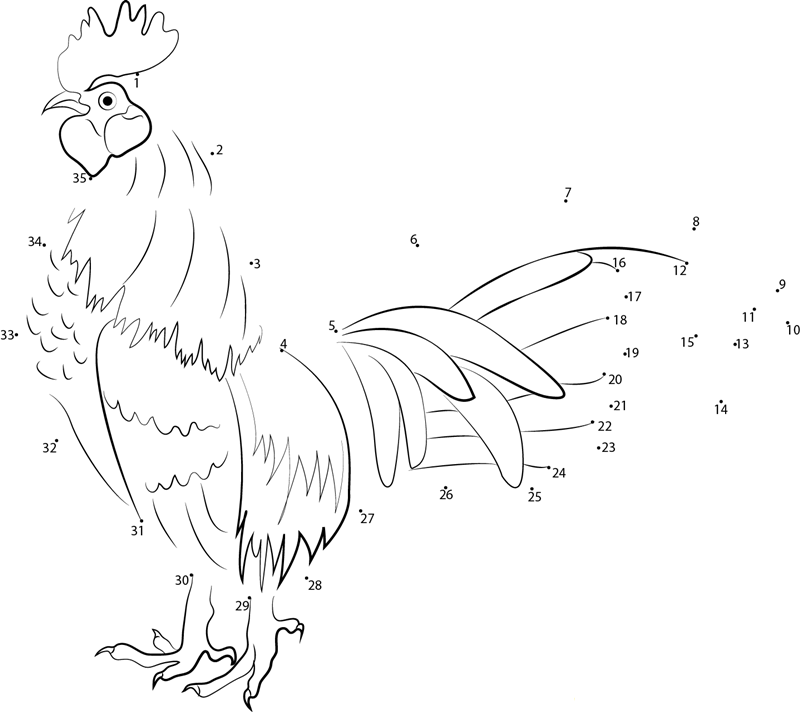 Big Chicken dot to dot worksheets